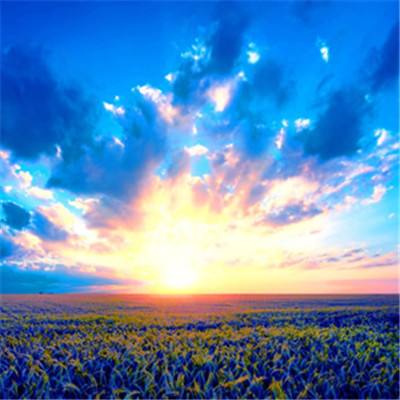 帝一娱乐app下载