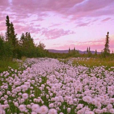 梭哈游戏下载app下载